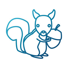 Squirrel animal cartoon icon vector illustration graphic design