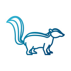 Skunk animal cartoon icon vector illustration graphic design