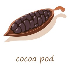 Cocoa pod icon, isometric 3d style