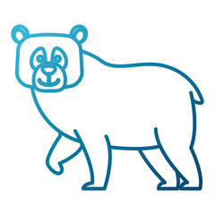 bear cartoon animal icon vector illustration graphic design