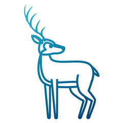 Deer animal cartoon icon vector illustration graphic design