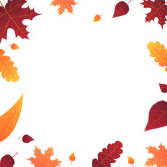 Obraz premium Autumn Background with leaves for shopping sale or promo poster and frame leaflet or web banner. Vector illustration template.