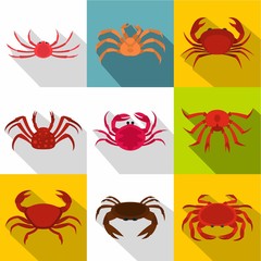 Crab icon set, flat style