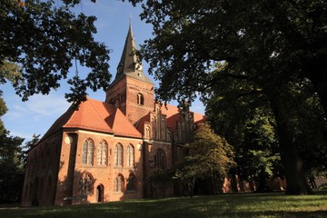 Fototapeta na wymiar Blick durch die Baumriesen zur Katharinenkirche in der Salzwedeler Neustadt