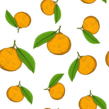 Mandarin orange. Hand drawn colored sketch as seamless pattern