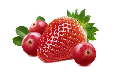 Strawberry and cranberry composition isolated on white background