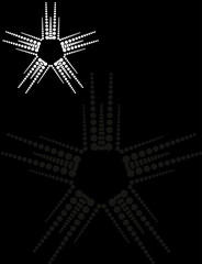 Background Composition, Web Template (Halftone)