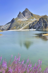 lac de montagne en été 