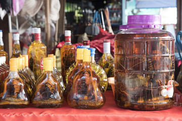 Liquor Dagia with snakes and scorpions inside.Laotian people made traditional liquor fermented and pickled with poisonous animals with herbal for drink in Luang Prabang, Laos