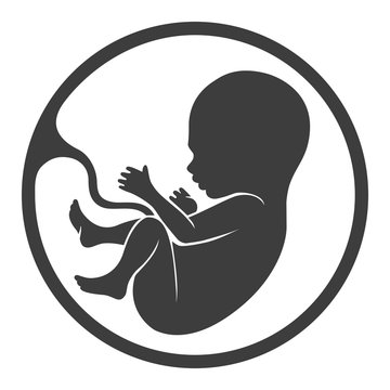 Fetus vector icon, prenatal human child with placenta silhouette isolated on white background