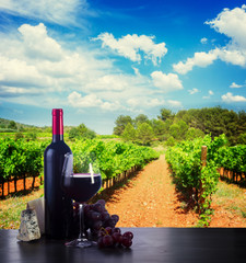 Bottle and glass with red wine on table in vineyard