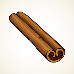 Cinnamon. Vector drawing