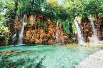 A photo of fishes swimming in a lake, taken in the national park Plitvice Croatia.