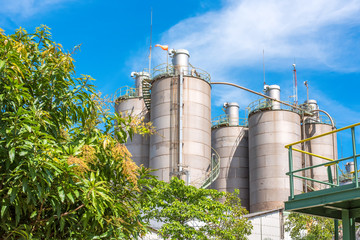 silo  storage of agriculture product
