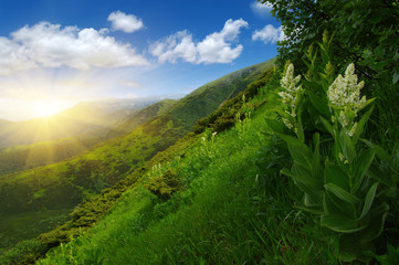 Mountain landscape on sun