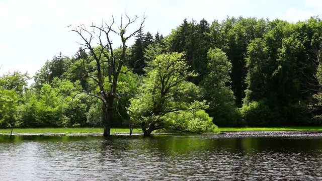Seachtnmoor, moor near Andechs, Bavaria