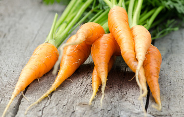 The crop of carrots on a wooden table
