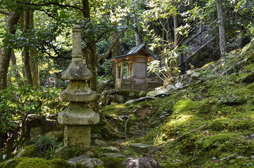 Giardino del Tempio Jojakko-ji a Kyoto