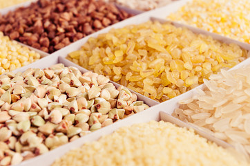 Groats grain collection as background, closeup.