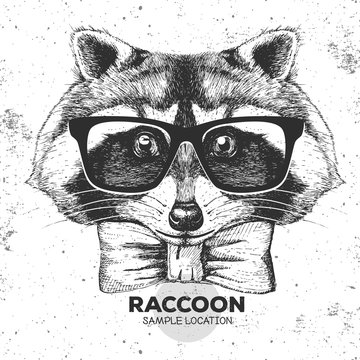 Hipster animal raccoon. Hand drawing Muzzle of animal  raccoon