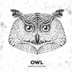 Obraz premium Hipster bird owl. Hand drawing Muzzle of bird owl