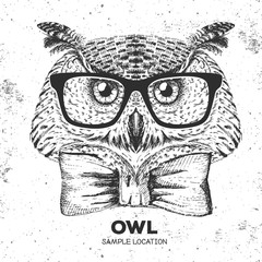 Fototapeta premium Hipster bird owl. Hand drawing Muzzle of bird owl
