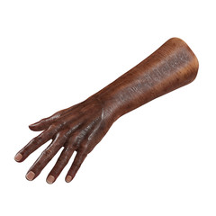 Old african hand on a white. 3D illustration