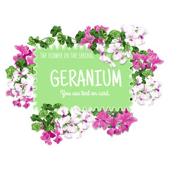 Geranium card design.