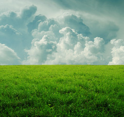 Background with green dense grass and beautiful storm clouds