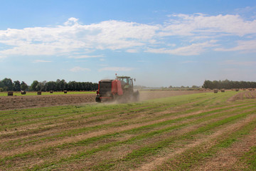 Fototapeta premium Récolte du lin