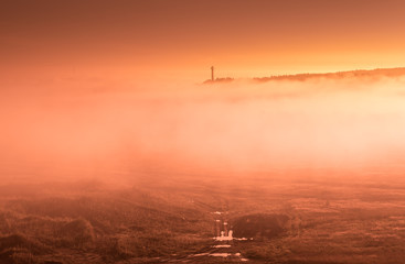thick morning fog on the summer field. the dense forest on the horizon. Morning landscape in summer...