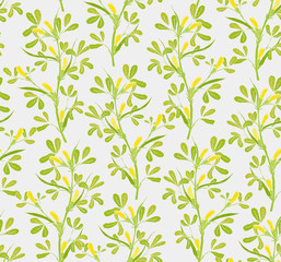 Floral seamless pattern with flowering fenugreek plants on white background. Pretty yellow flowers growing on green stems with leaves hand drawn in vintage style. Vector illustration for wallpaper.