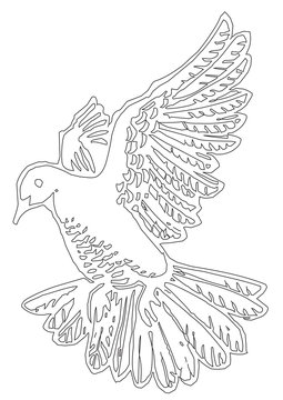 Pigeon Bird Outline Picture