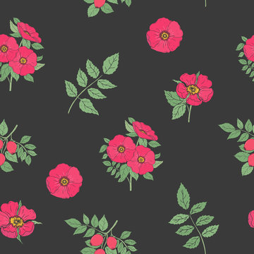 Floral seamless pattern with elegant dog rose flowers, stems and leaves hand drawn in retro style on black background. Botanical vector illustration for wrapping paper, fabric print, wallpaper.