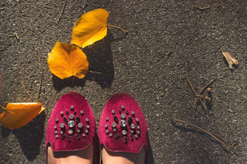 Top view of bordeaux velvet shoes with crystals on pavement  with fallen yellow leafs