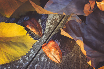 .Abstract autumn background-fallen leaves on wooden background