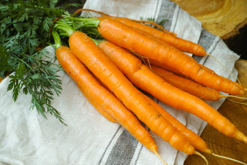 Bunch of fresh summer carrots