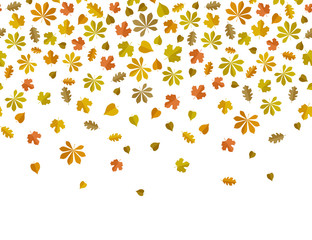 Leaf fall background