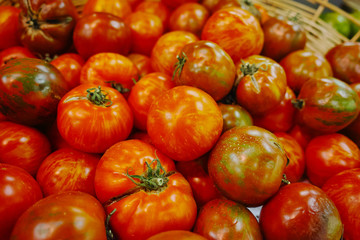 Ancient Provencal french tomatoes on the street market