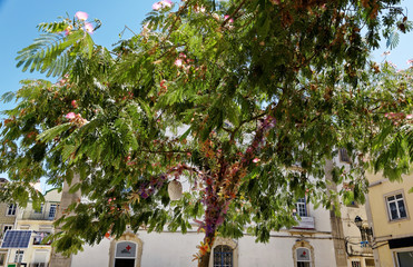Street decorations in Setubal