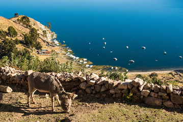 Isle de Sol on Lake Titicaca in Bolivia