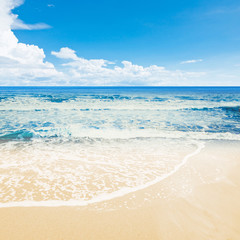 Tropical beach ocean