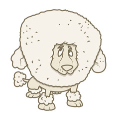 Poodle Dog Vector Illustration