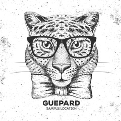 Obraz premium Hipster animal guepard. Hand drawing Muzzle of guepard