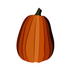 pumpkin colored vector illustration