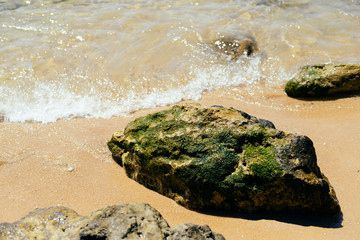 Beach coast water seascape on summer colorful beautiful outdoors sunny background. wonderful peaceful scenery view natural coastline