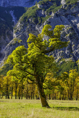Grosser Ahornboden, Tirol, Austria