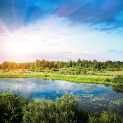 Fototapeta premium Summer beautiful landscape