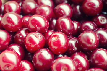 Macro shot of cherries with drops of water as a bright red fruit background (selective focus), retro style