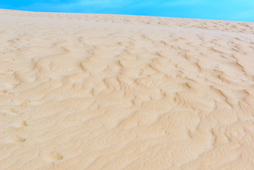 Fototapeta na wymiar Sand dune of Lomas de Arena Regional Park, Santa Cruz, Bolivia